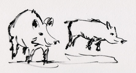 two wild boars
