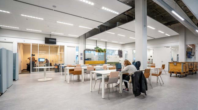 Cool Office With White Walls And A Woman Working With Her Computer