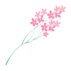 Twig small pink and white flowers Vector flat illustration of blanks for design in pastel colors close-up, element for decorating books, greeting cards, scrapbooking, patterns and ornaments