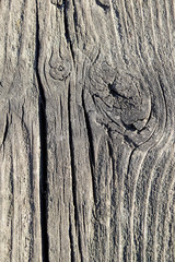 Fototapeta premium old wood background with panel . in bad condition