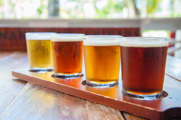 Beer Sampling, Tasting