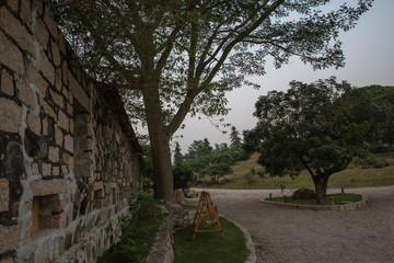 Obraz premium The trees in the park make up a beautiful view