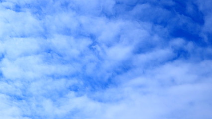 Fototapeta premium OLYMPUS DIGITAL CAMERA