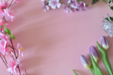 purple and lilac flowers and tulips on a pink background. spring, summer concept, background for cards and cosmetics