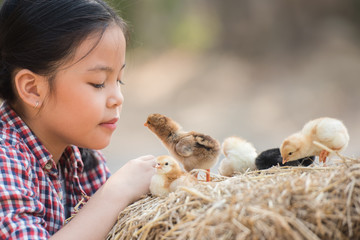 happy little girl with of small chickens sitting outdoor. portrait of an adorable little girl, preschool or school age, happy child holding a fluffy baby chicks with both hands and smiling..