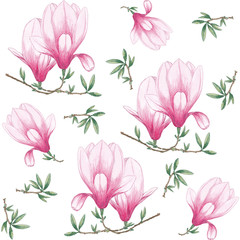 Watercolor seamless pattern of magnolia, vintage flowers bouquet, floral spring composition, branches and leaves, botanical watercolor illustration on white background. For textile, wallpaper design.