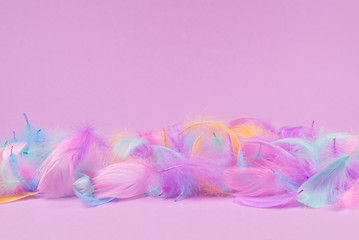 Colorful feather background