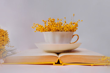 A mug filled with fragrant pink Mimosa flowers on an open book with old leaves and a yellow cover on a lilac soft background. Love of books and reading.