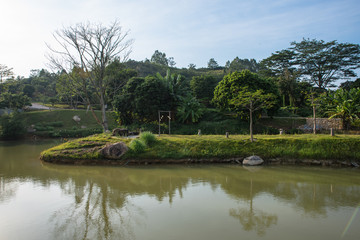 The country river reflects the trees