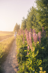 Happy girl in a white dress rides a bicycle on the road among a field with lupins