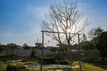 Obraz premium The trees in the park make up a beautiful view