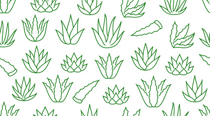 Aloe vera background, agave plant seamless pattern. Succulent wallpaper with line icons of aloevera leaves. Herbal medicine vector illustration green white color - obrazy, fototapety, plakaty
