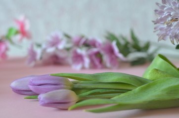 purple and lilac flowers and tulips on a pink background. spring, summer concept, background for cards and cosmetics