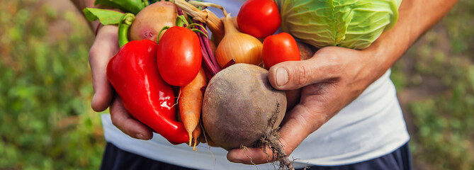 Man farmer with homemade vegetables in his hands. Selective focus.
