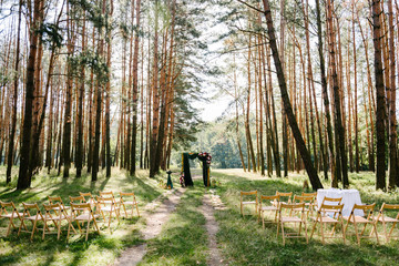 organization of a wedding ceremony in the forest in summer on a sunny day