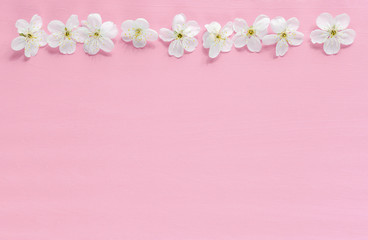 Fototapeta na wymiar Tree flowers border on pink background. Spring blooming