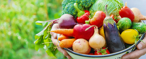 Man farmer with homemade vegetables in his hands. Selective focus.