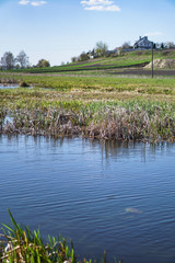 Beautiful spring river in the flowing nature. Colorful landscape in the morning and evening. Travel to deserted places of the world. Stock photo for design
