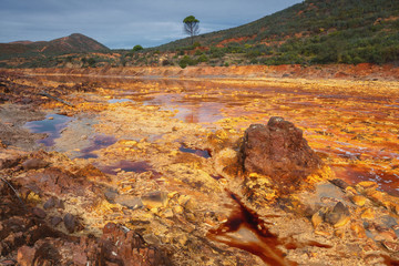 Death and desolation in the Tinto river, Spain, as a possible result of the mining, Tinto river is...