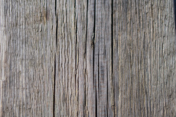 Beautiful old wood texture. Wooden board for wallpaper. Stock background for design