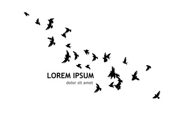 A flock of flying birds silhouette. Vector illustration