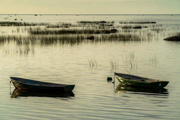 Fototapeta na wymiar Fishing boats at anchor in the reeds in the shallow waters of the Gulf of Finland.