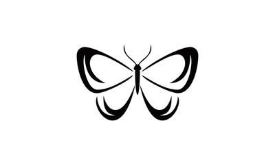 sketch butterfly vector