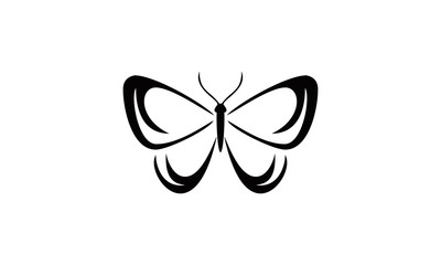 sketch butterfly vector