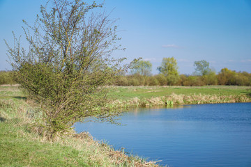 Beautiful spring river in the flowing nature. Colorful landscape in the morning and evening. Travel to deserted places of the world. Stock photo for design