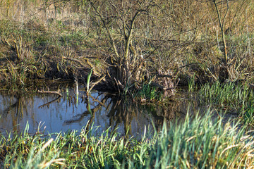 Spring flood in the field. Colorful swamp in the shake. Land reclamation on the territory and in the world. Landscape of a road in the water