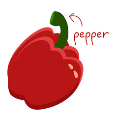 Fresh red pepper with lettering vector illustration