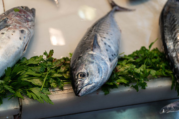 fresh fish on ice