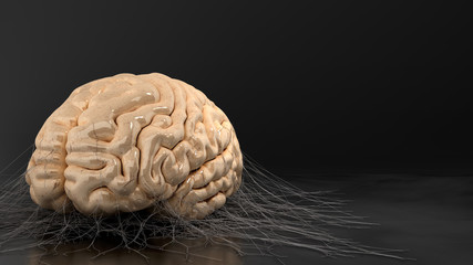 concept of abandoned mind or degradation of the mind brain on the flor is covered with cobwebs 3d render darck style image