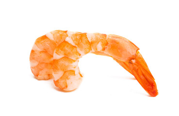 boiled shrimp isolated
