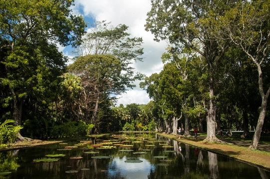 Isla mauricio Parque Nacional