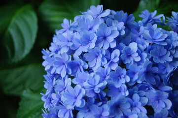 7 649 Sum City Wall Murals Canvas Prints Stickers Wallsheaven