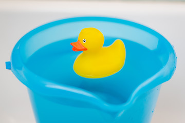 Yellow rubber duck in a blue bucket full of water 