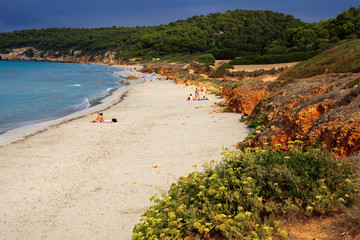 Sant Tomas, Menorca / Spain - June 25, 2016: The Binigaus beach with flowers, Sant Tomas, Menorca, Balearic Islands, Spain
