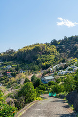 神奈川県 小田原市 根府川「海沿いのみかん畑」