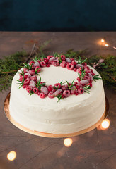 Winter holiday cake