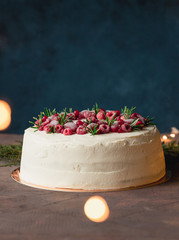 Winter holiday cake