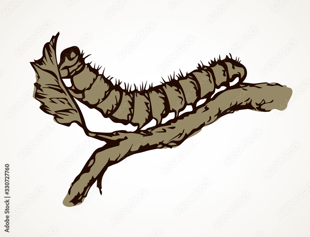 Wall mural the caterpillar eats a leaf. vector drawing