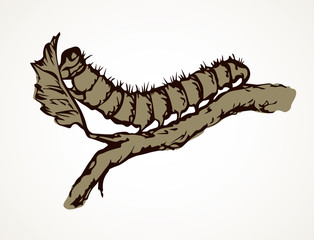 The caterpillar eats a leaf. Vector drawing