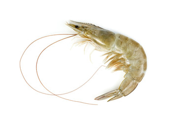 shrimp raw isolated on white background