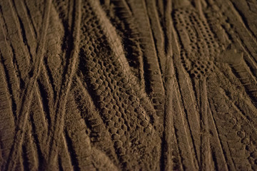 tracks in the sand