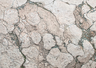 White Stone Texture Background