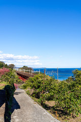 Fototapeta premium 神奈川県 小田原市 根府川から望む相模湾