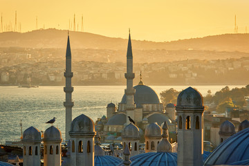 View from Suleymaniye mosque at sunrise. Istanbul, Turkey, popular travel destination.