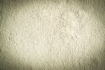 White grey background ( texture wall, putty)