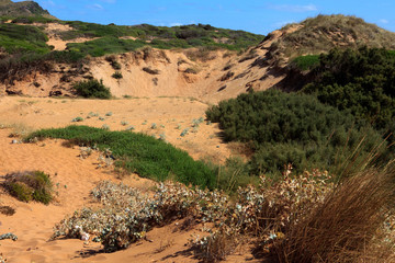 Cala Pregonda, Menorca / Spain - June 23, 2016: Cala Pregonda Biosphere Reserve area view, Menorca, Balearic Islands, Spain